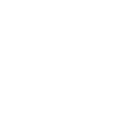INTERNET Resources Group
